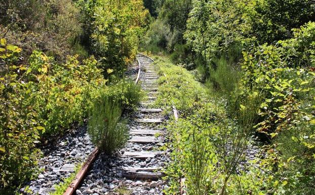 Línea ferroviaria del Ponfeblino.