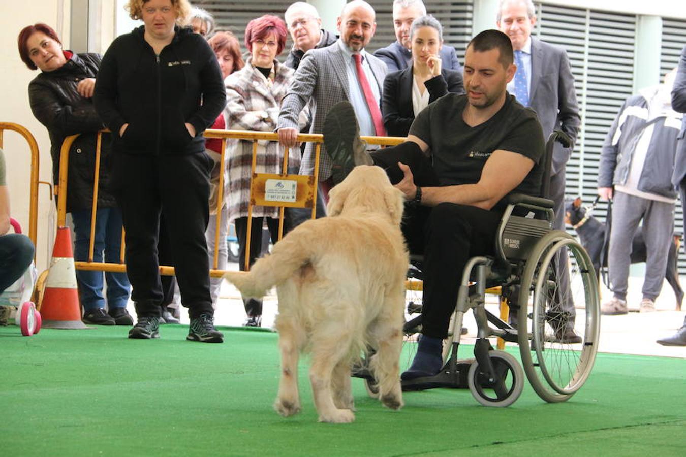 Fotos: Exhibición de perros en El Corte Inglés