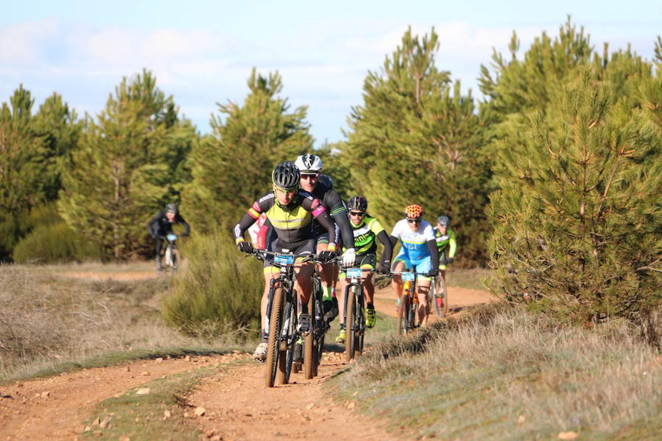 Fotos: Las mejores imágenes de la Power Race (II)