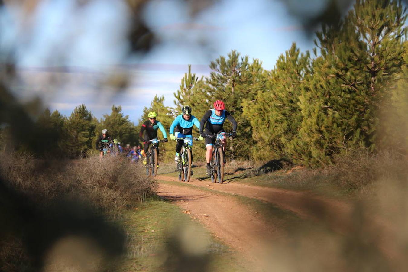 Fotos: Las mejores imágenes de la Power Race (II)