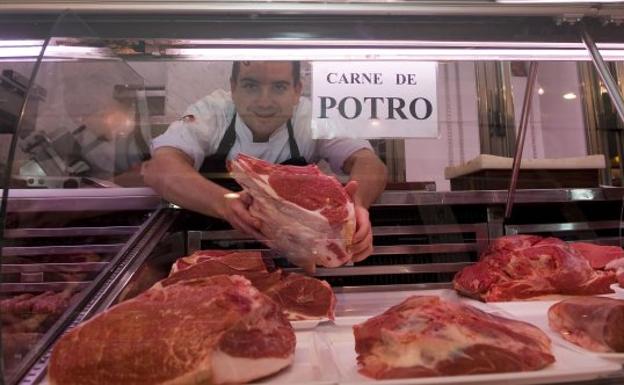 Cinco Beneficios De La Carne De Potro 0377