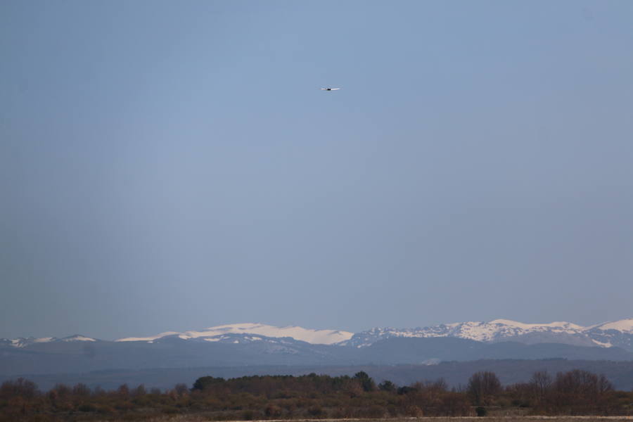 Fotos: La OTAN prueba en León su primero geodron