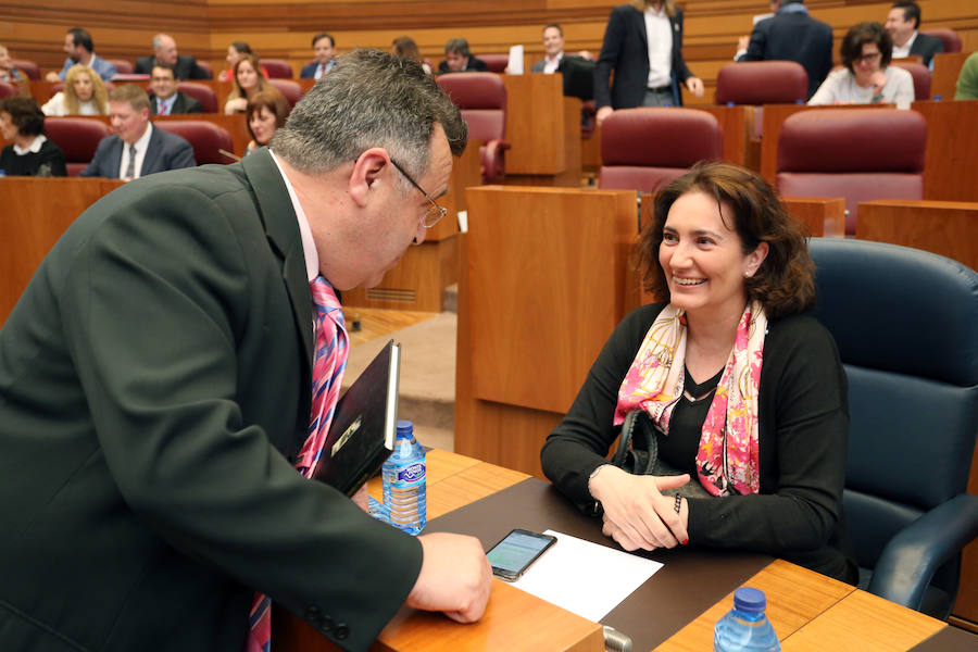 Fotos: Pleno en las Cortes de Castilla y León