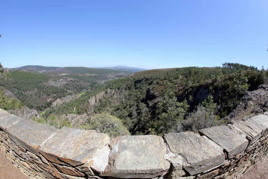 Fotos: Paraje natural de Corta da Ribeirinha (Oporto)