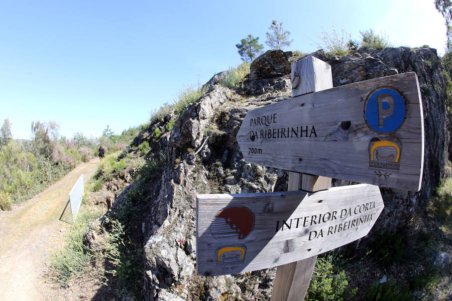 Fotos: Paraje natural de Corta da Ribeirinha (Oporto)