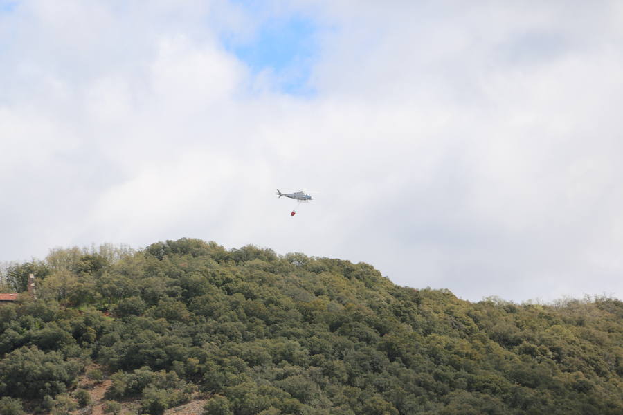 Fotos: Incendio en Ambasaguas