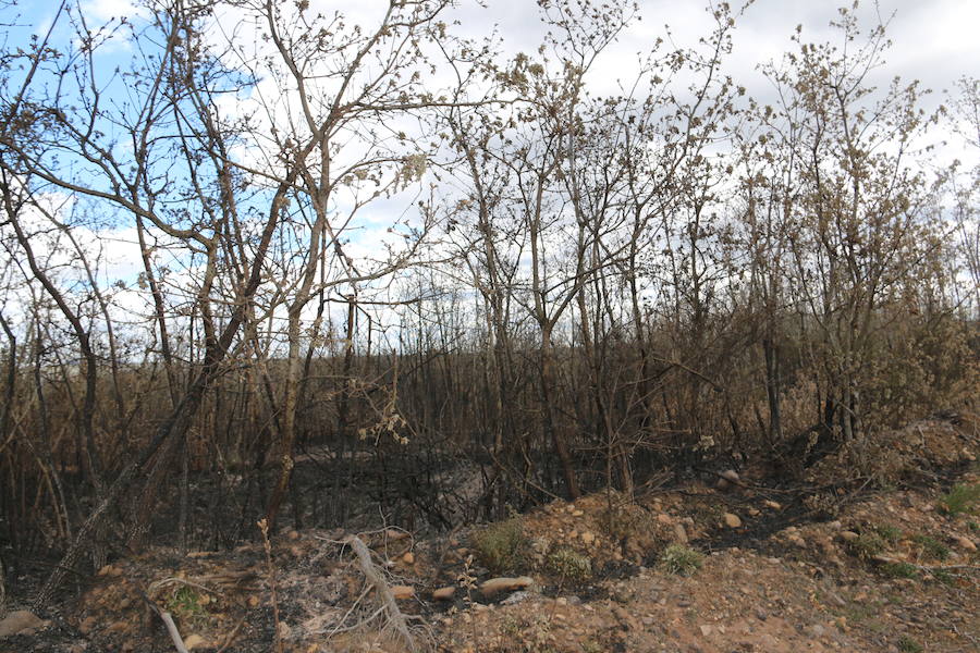 Fotos: Incendio en Ambasaguas