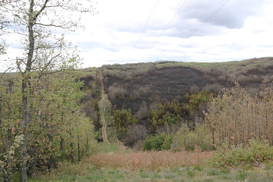 Fotos: Incendio en Ambasaguas