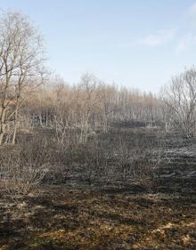 Imagen secundaria 2 - Diversos detalles del incendio. 