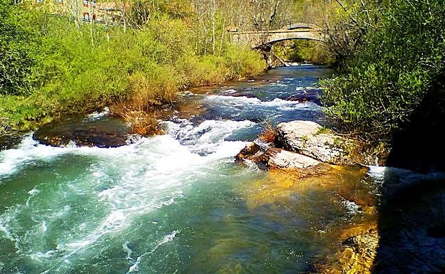 Los ríos son pieza clave de su entorno.