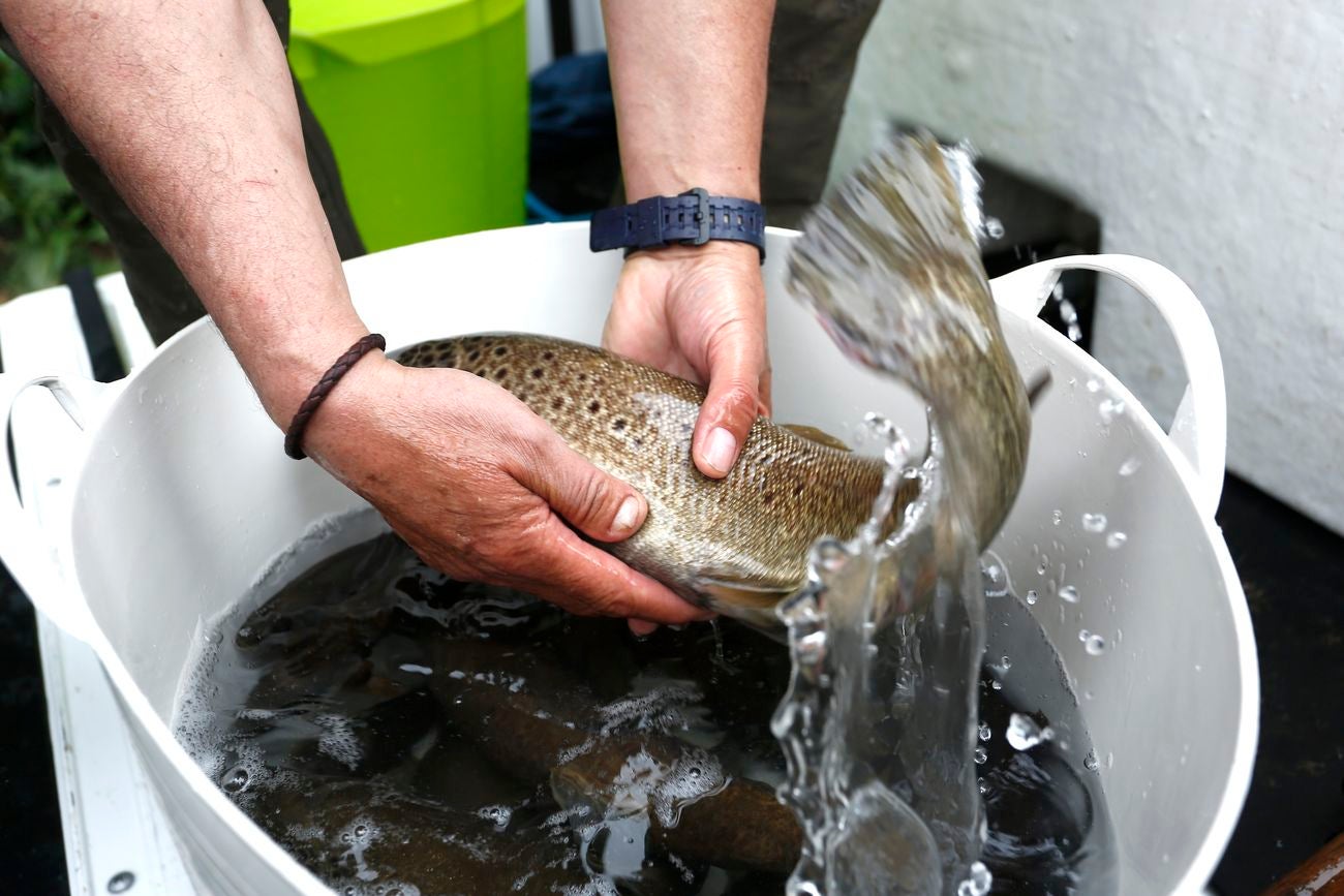 El consejero de Fomento y Medio Ambiente, Juan Carlos Suárez-Quiñones, presenta el Coto de Pesca de León junto al presidente de la Confederación Hidrográfica del Duero, Juan Ignacio Diego y el alcalde, Antonio Silván