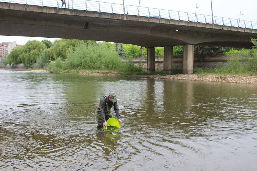 El consejero de Fomento y Medio Ambiente, Juan Carlos Suárez-Quiñones, presenta el Coto de Pesca de León junto al presidente de la Confederación Hidrográfica del Duero, Juan Ignacio Diego y el alcalde, Antonio Silván