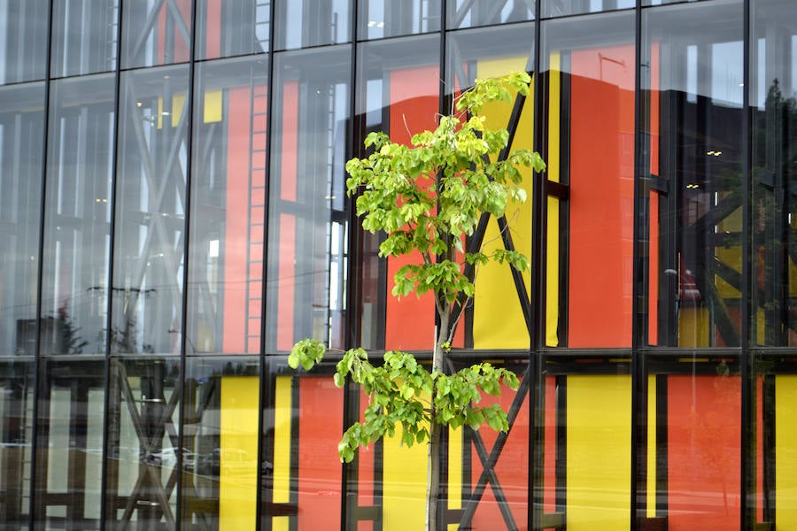 Fotos: El Palacio de Exposiciones ultima sus detalles