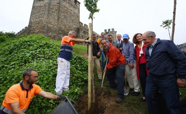 La alcaldesa de Ponferrada, Gloria Fernández Merayo, junto a los representantes de la Asociación del Camino de Invierno a Santiago y del Consulado Honorario de España en Takamatsu y en Fukuoka, durante la plantación.