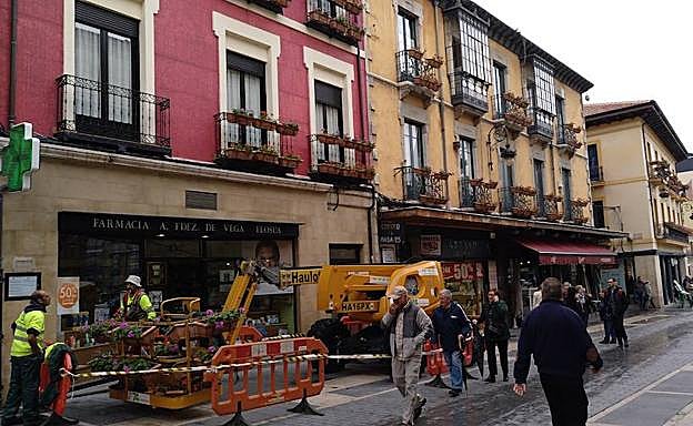 Imagen principal - Una Ancha florida y hermosa