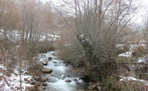 Imagen del río Salentinos. 