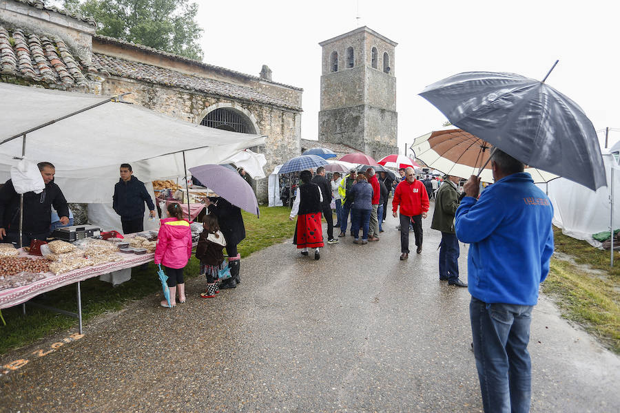 Fotos: La lluvia obliga a suspender la procesión de Nuestra Señora de Camposagrado
