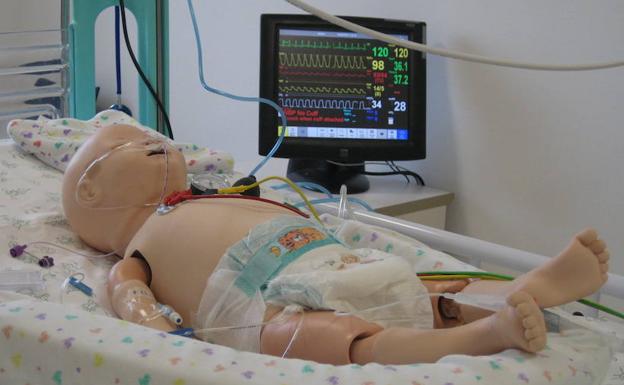 Castilla y León acoge un curso pionero en España de situaciones críticas en neonatología