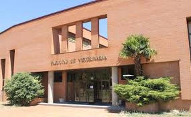 La Universidad de León acoge la XIX reunión anual de mejora genética animal