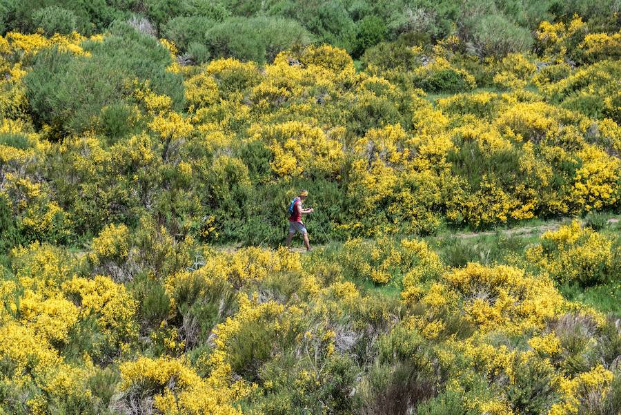 Fotos: Las mejores imágenes de la Riaño Trail Run