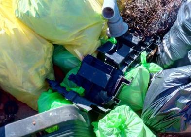 Imagen secundaria 1 - Detalles de la recogida. 