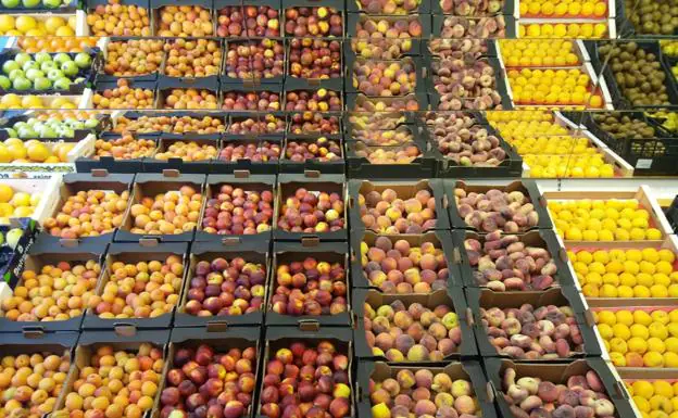 Stand de fruta en una tienda de Olgary.