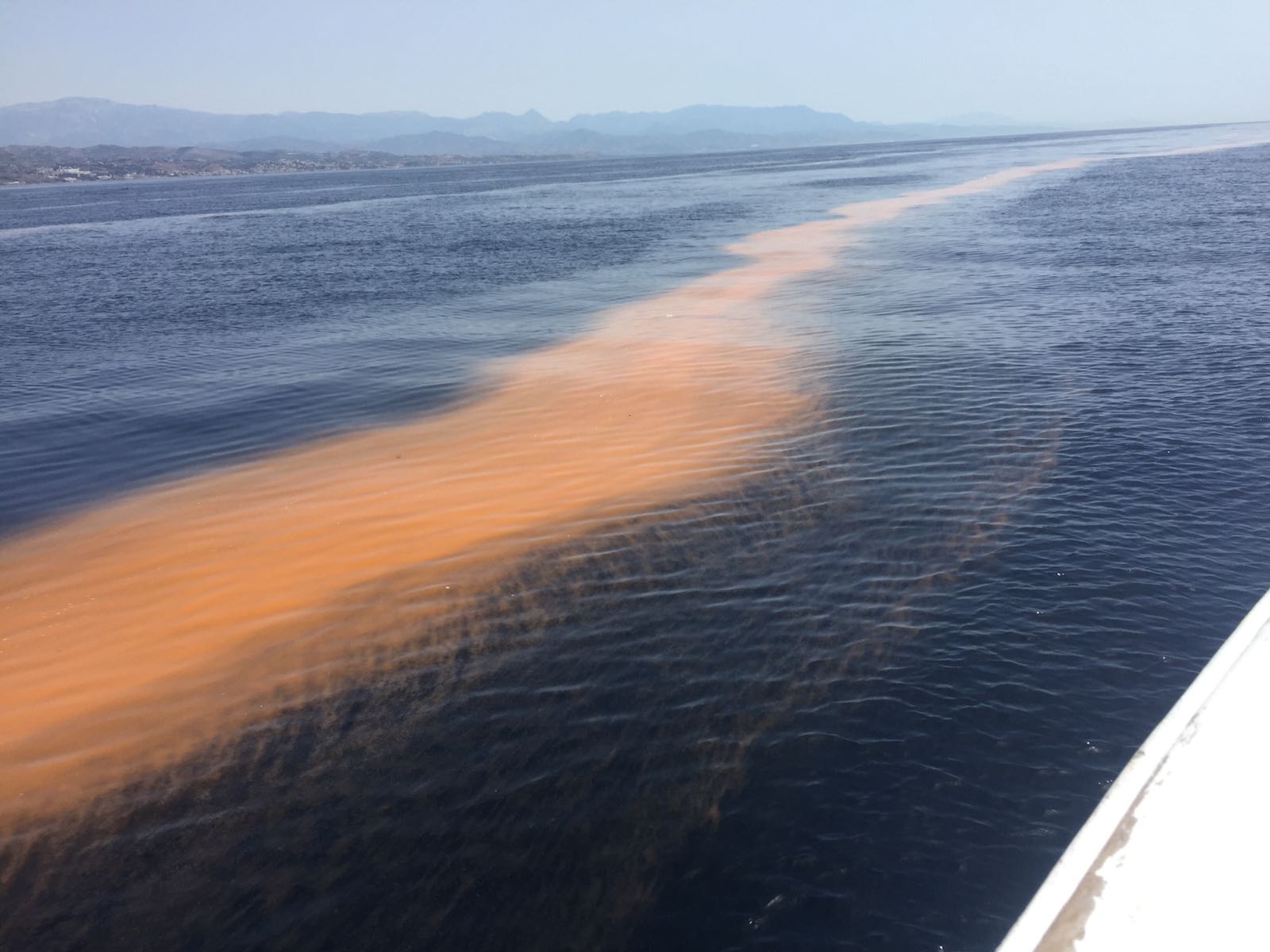 Pescadores avistan entre Rincón de la Victoria y Málaga una gran mancha que el levante empuja hacia la costa