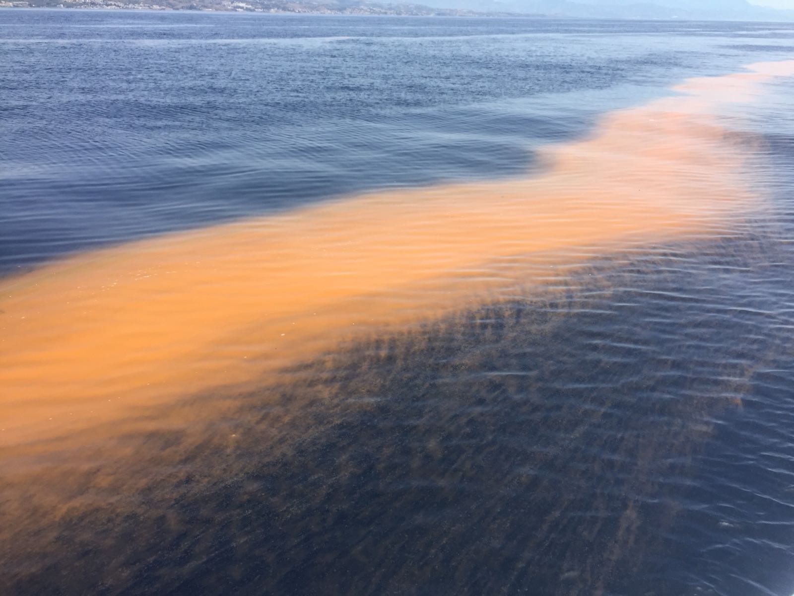 Pescadores avistan entre Rincón de la Victoria y Málaga una gran mancha que el levante empuja hacia la costa