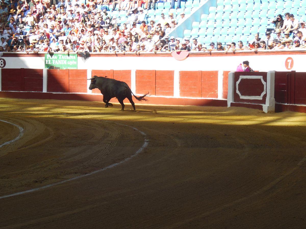 Fotos: Hermoso de Mendoza, Padilla y El Fandi triunfan en León