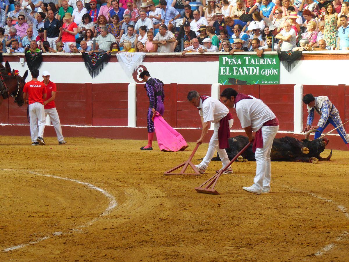 Fotos: Hermoso de Mendoza, Padilla y El Fandi triunfan en León