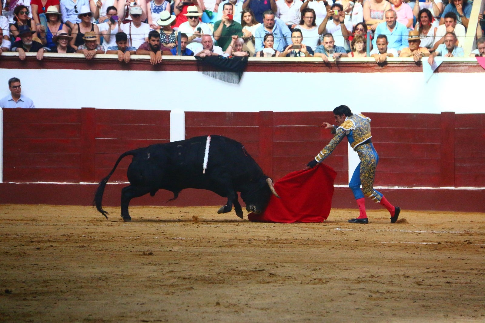 Fotos: Corrida del día  de San Juan, Morante, Manzanares, Talavante y Roca Rey