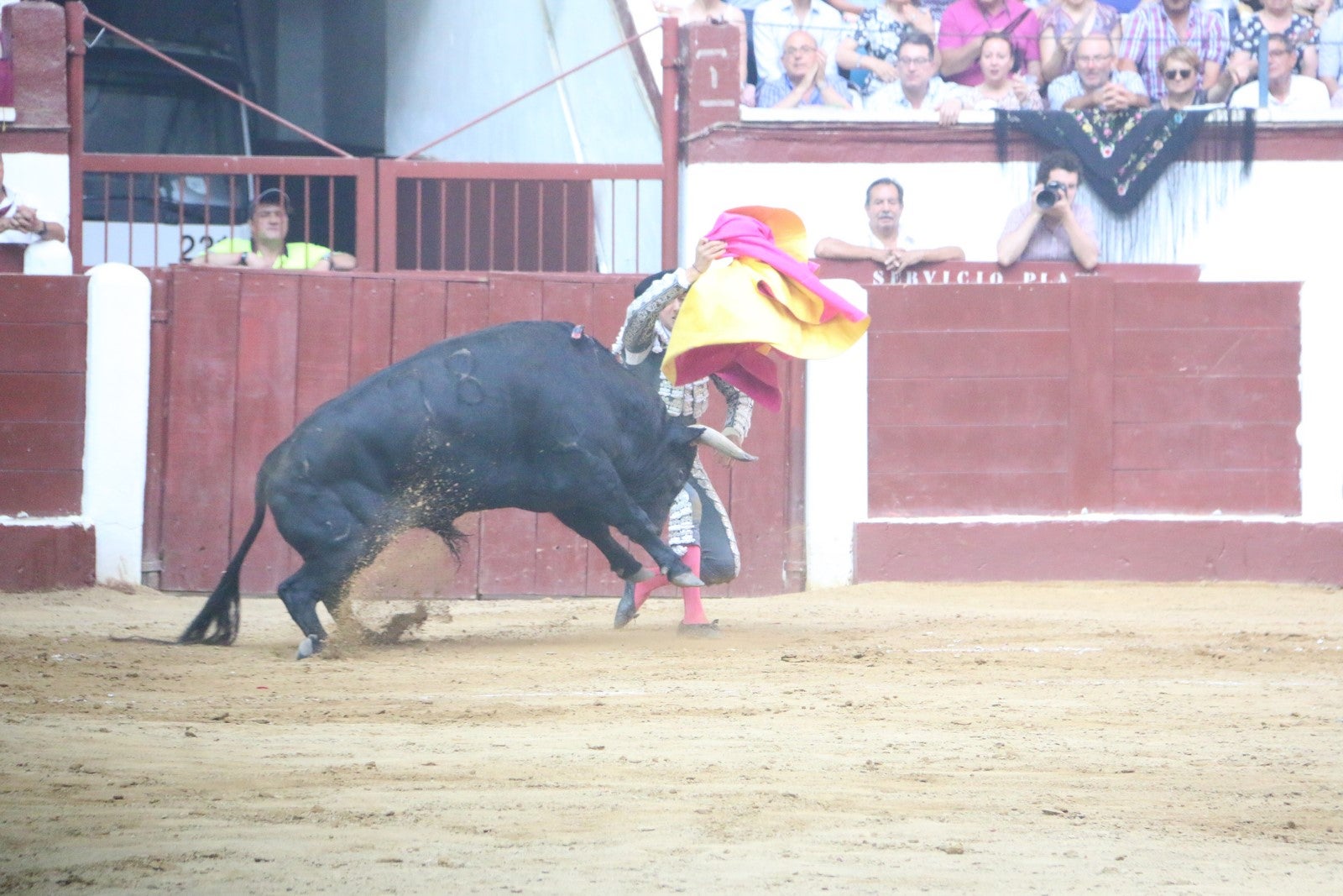 Fotos: Corrida del día  de San Juan, Morante, Manzanares, Talavante y Roca Rey