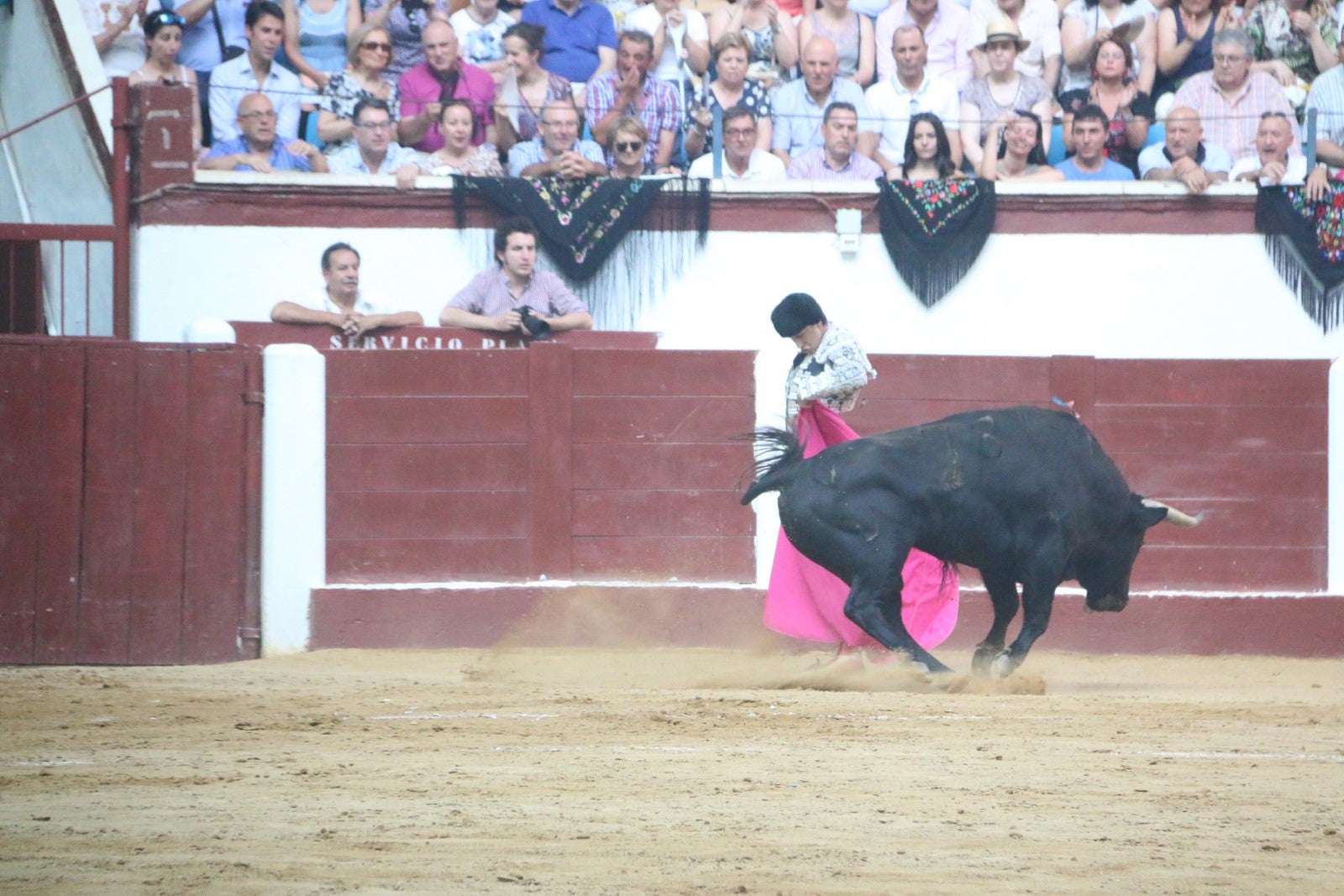 Fotos: Corrida del día  de San Juan, Morante, Manzanares, Talavante y Roca Rey