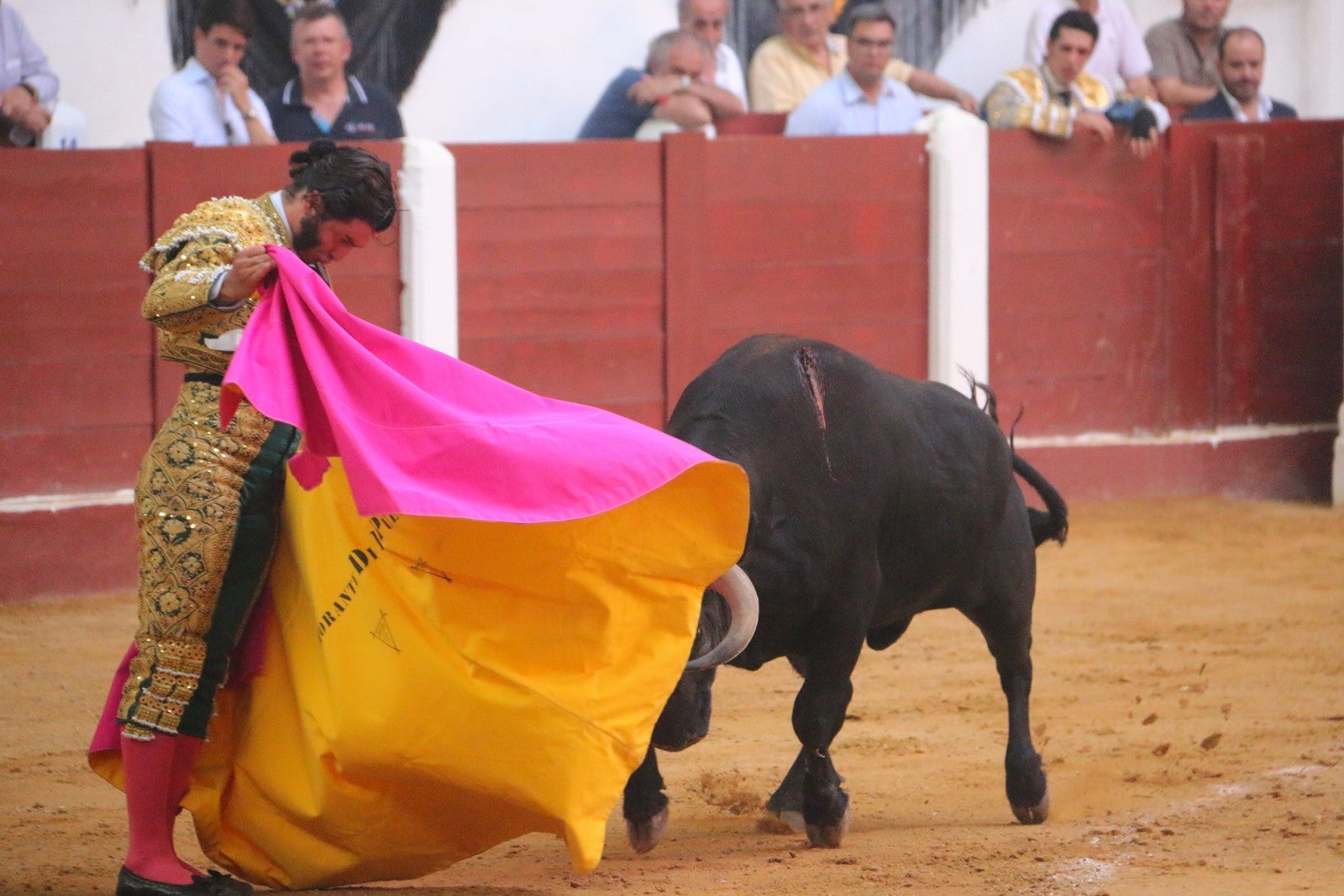 Fotos: Corrida del día  de San Juan, Morante, Manzanares, Talavante y Roca Rey