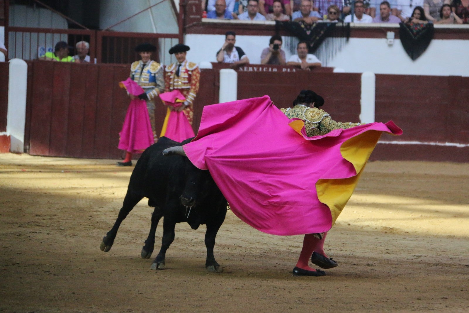 Fotos: Corrida del día  de San Juan, Morante, Manzanares, Talavante y Roca Rey