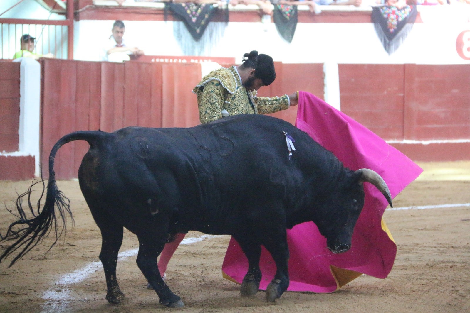 Fotos: Corrida del día  de San Juan, Morante, Manzanares, Talavante y Roca Rey