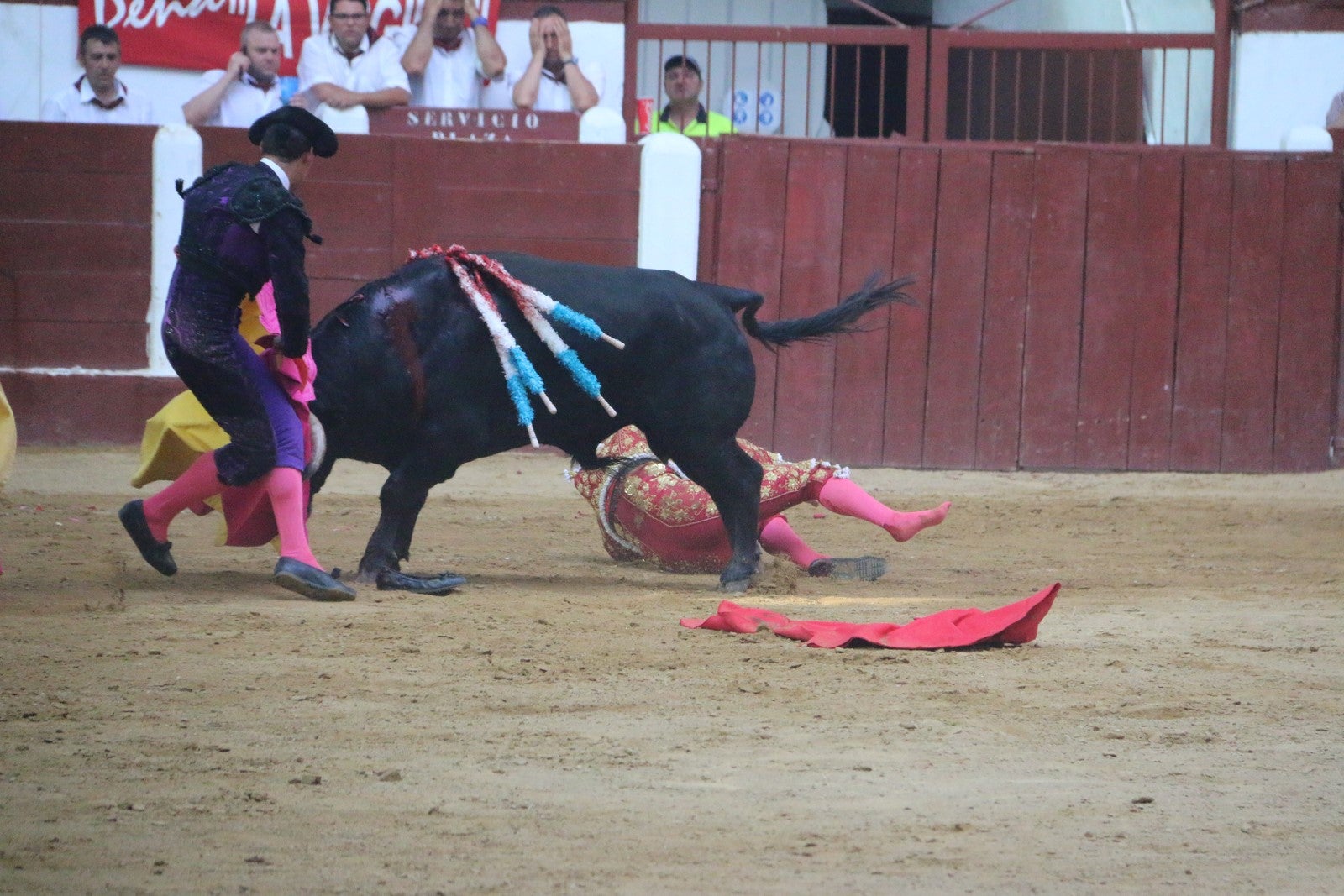 Fotos: Corrida del día  de San Juan, Morante, Manzanares, Talavante y Roca Rey