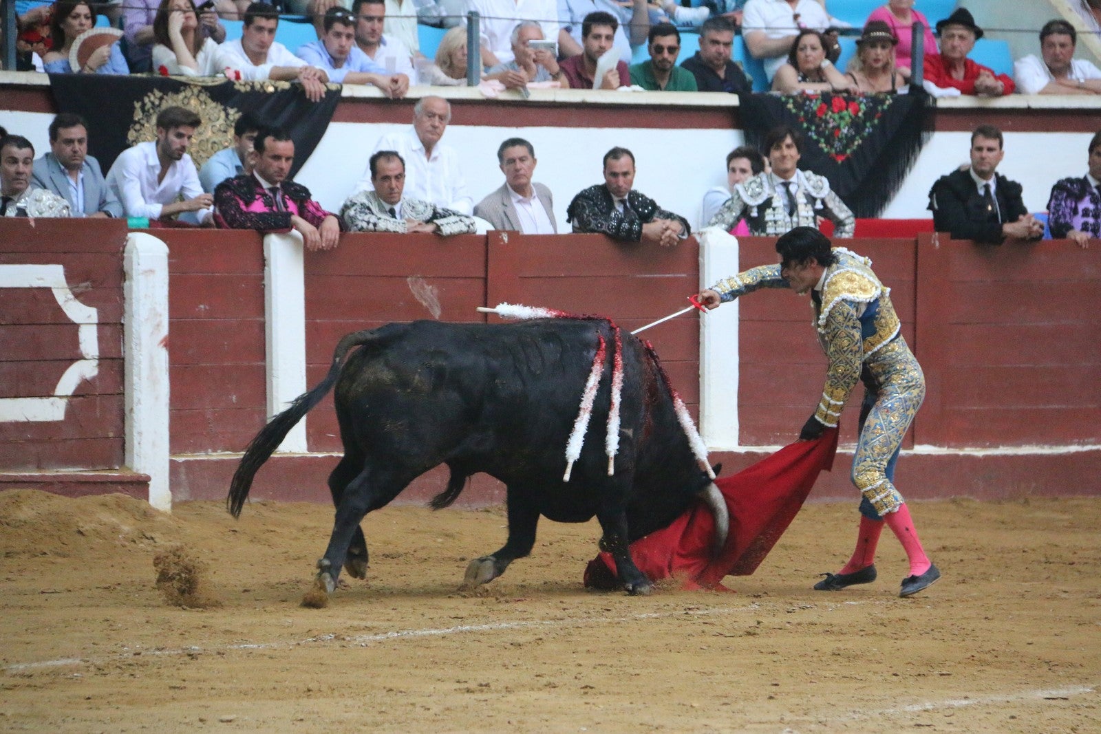Fotos: Corrida del día  de San Juan, Morante, Manzanares, Talavante y Roca Rey