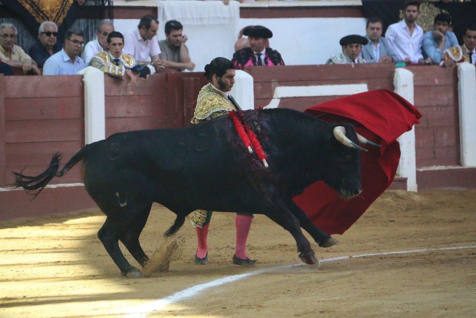 Fotos: Corrida del día  de San Juan, Morante, Manzanares, Talavante y Roca Rey
