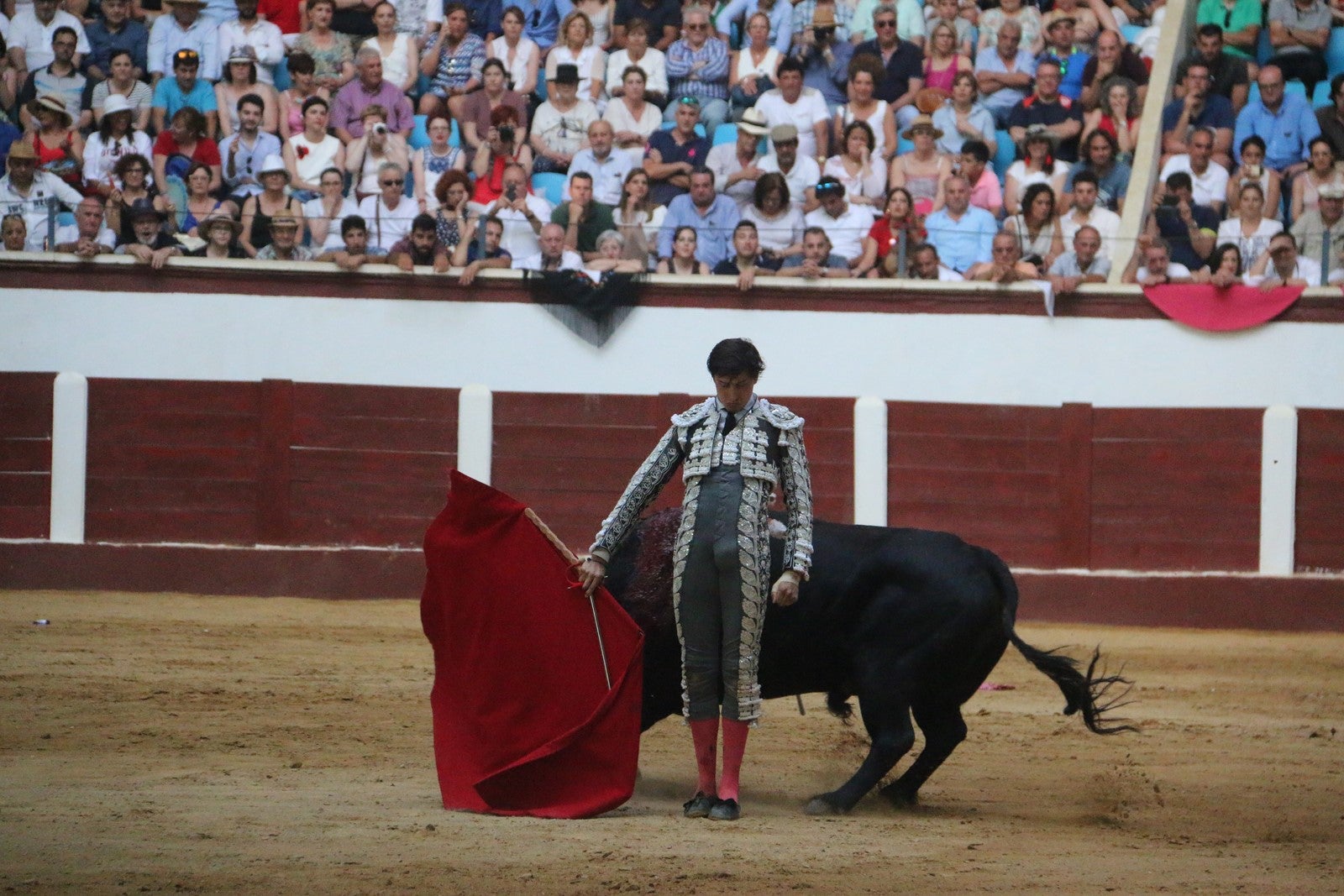 Fotos: Corrida del día  de San Juan, Morante, Manzanares, Talavante y Roca Rey