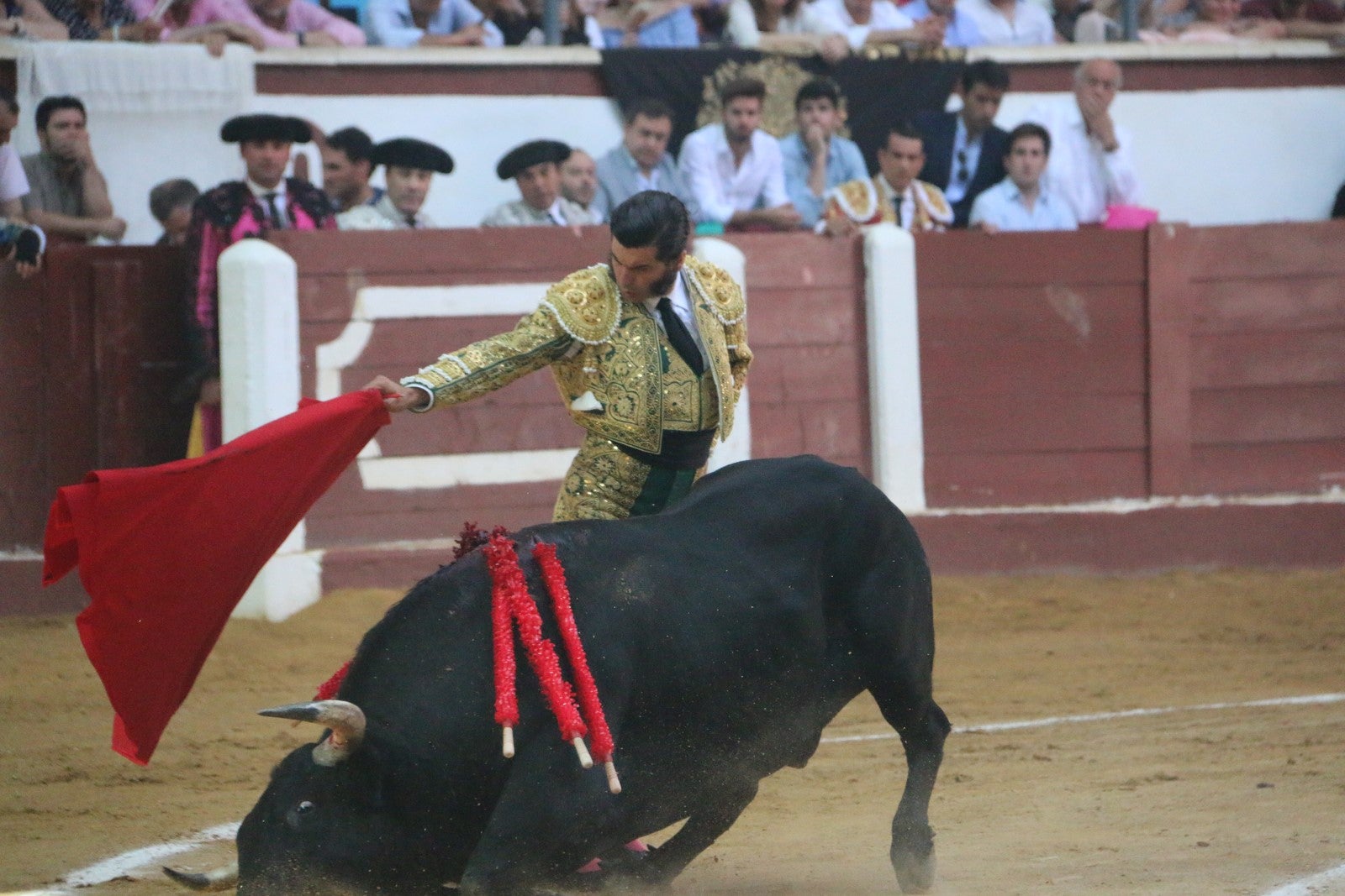 Fotos: Corrida del día  de San Juan, Morante, Manzanares, Talavante y Roca Rey