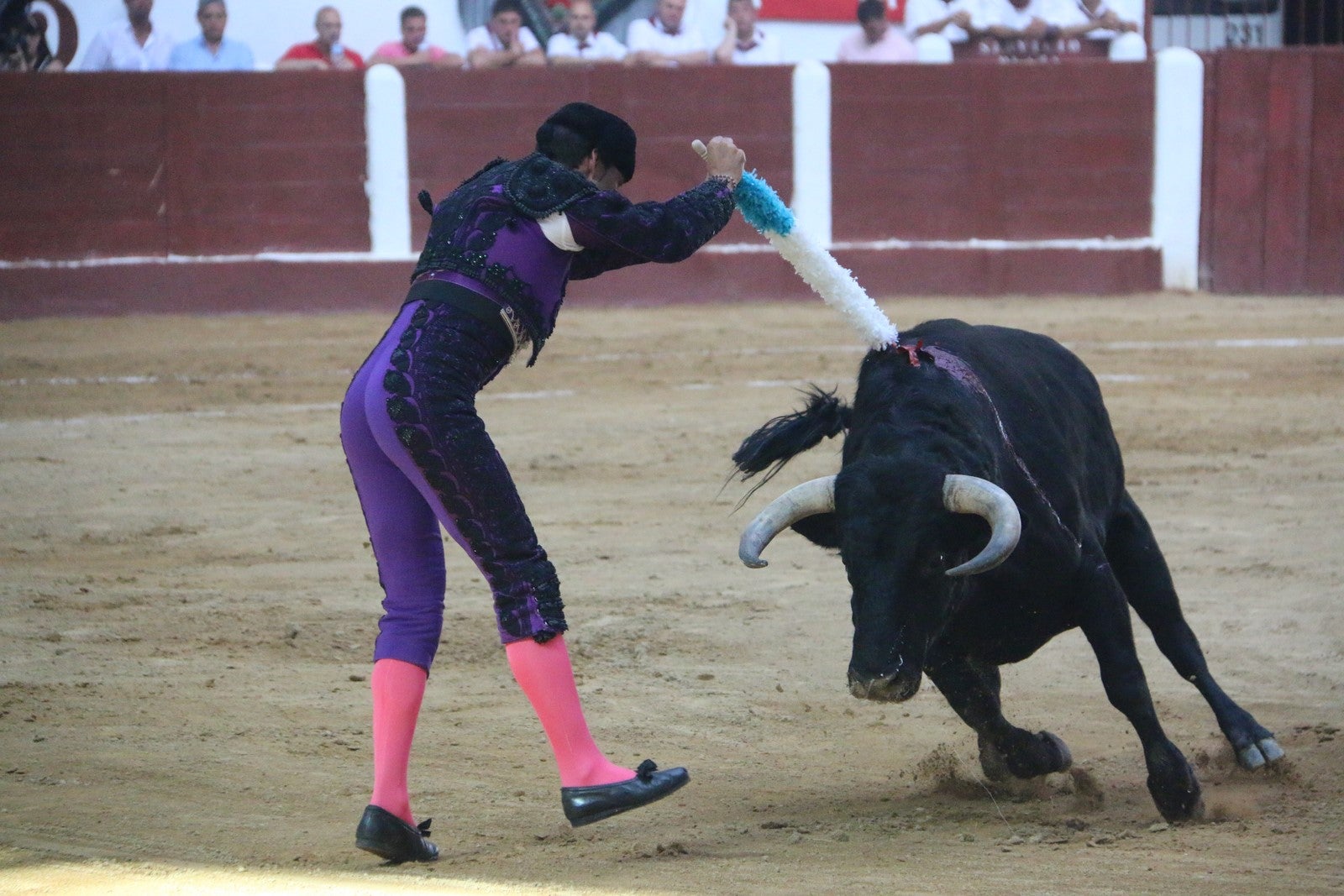 Fotos: Corrida del día  de San Juan, Morante, Manzanares, Talavante y Roca Rey