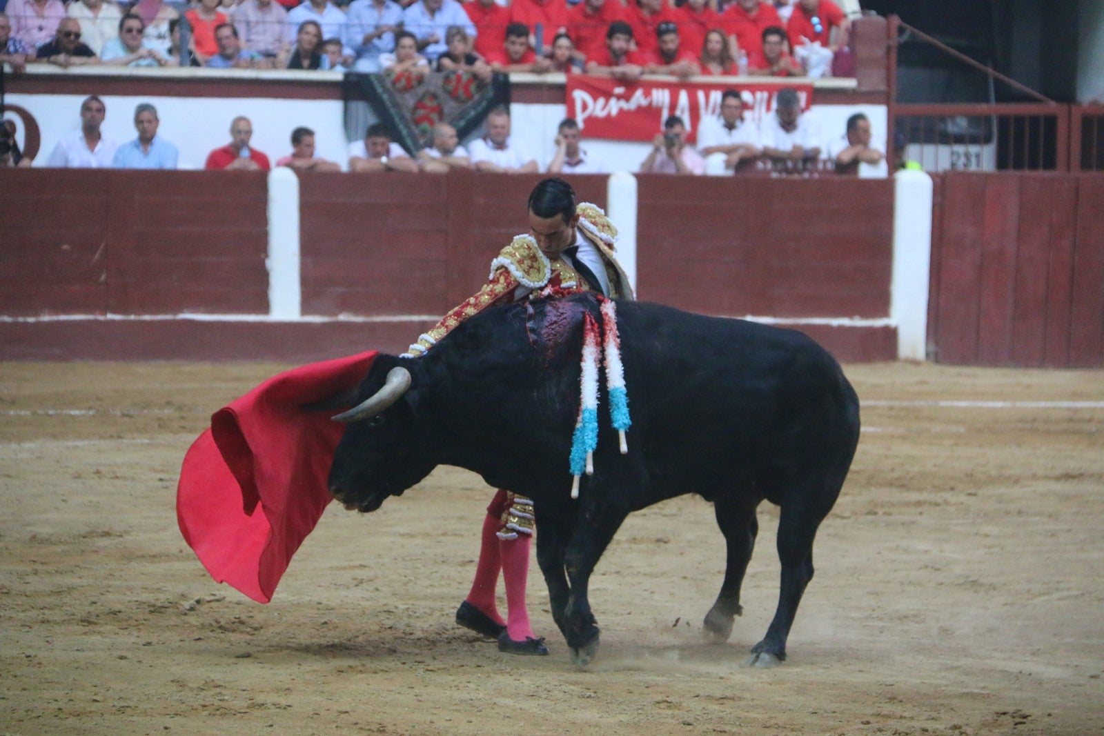 Fotos: Corrida del día  de San Juan, Morante, Manzanares, Talavante y Roca Rey
