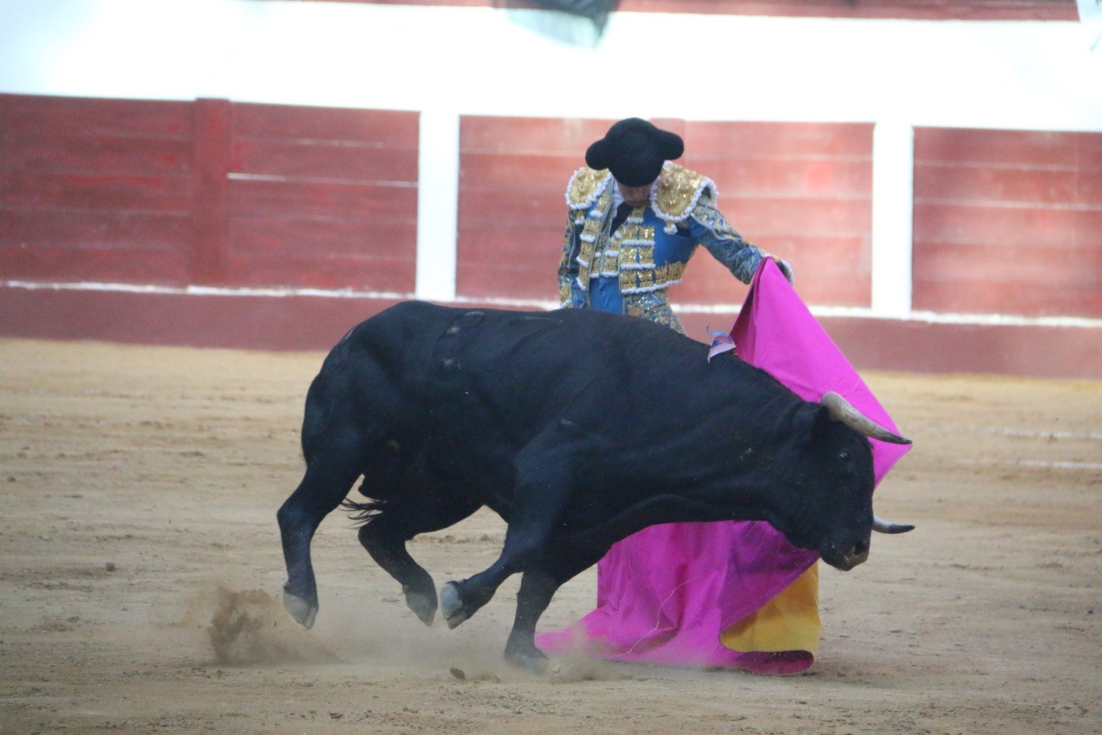 Fotos: Corrida del día  de San Juan, Morante, Manzanares, Talavante y Roca Rey