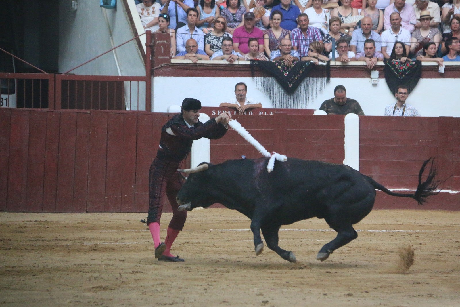 Fotos: Corrida del día  de San Juan, Morante, Manzanares, Talavante y Roca Rey