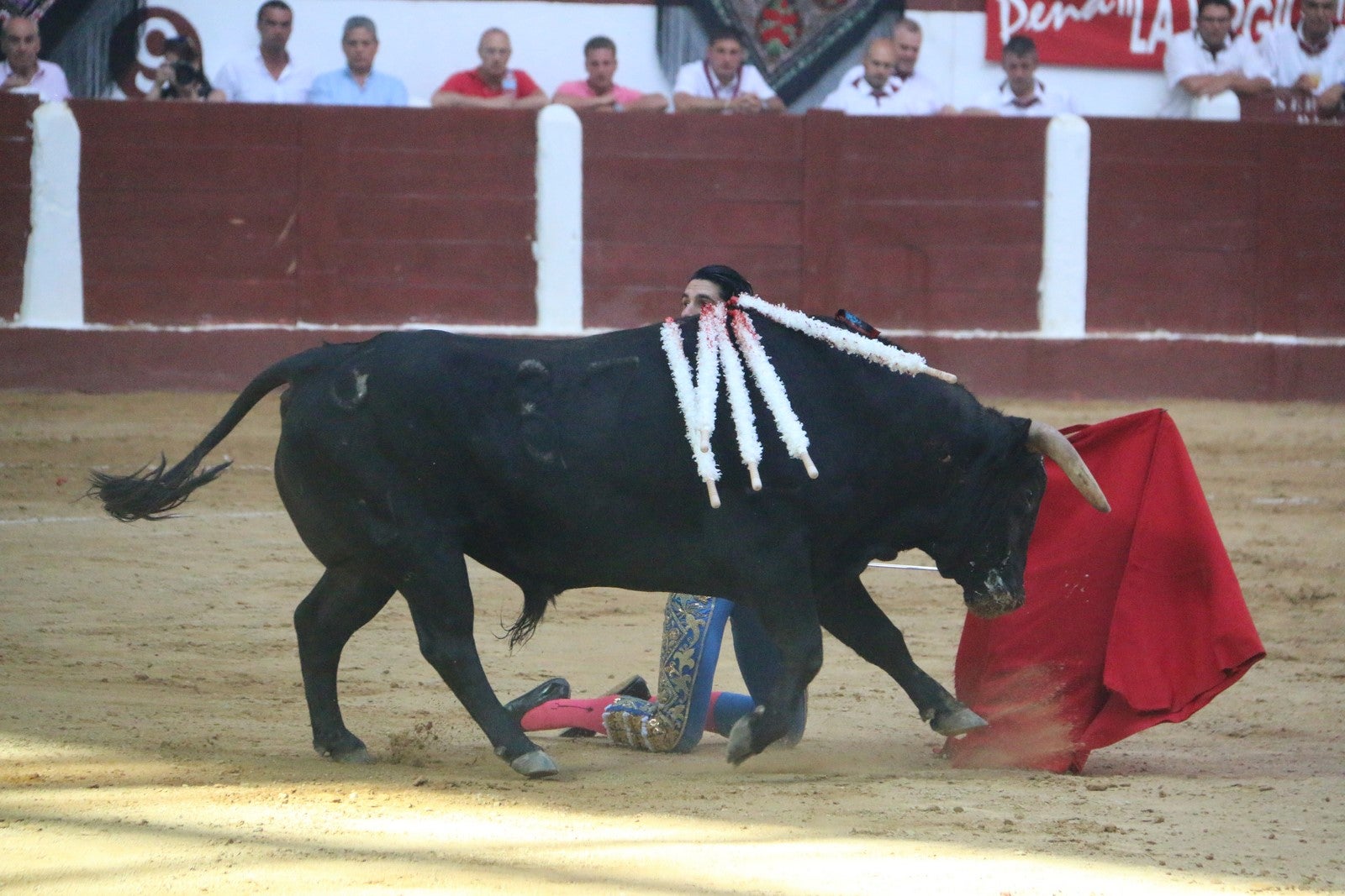Fotos: Corrida del día  de San Juan, Morante, Manzanares, Talavante y Roca Rey