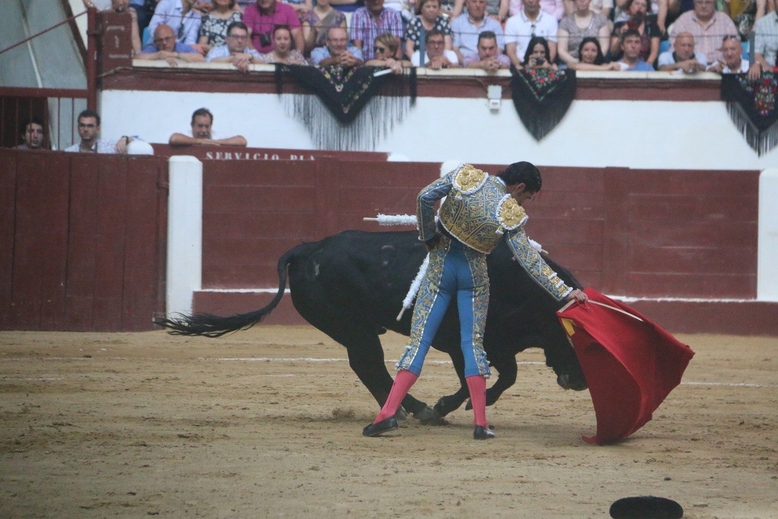 Fotos: Corrida del día  de San Juan, Morante, Manzanares, Talavante y Roca Rey