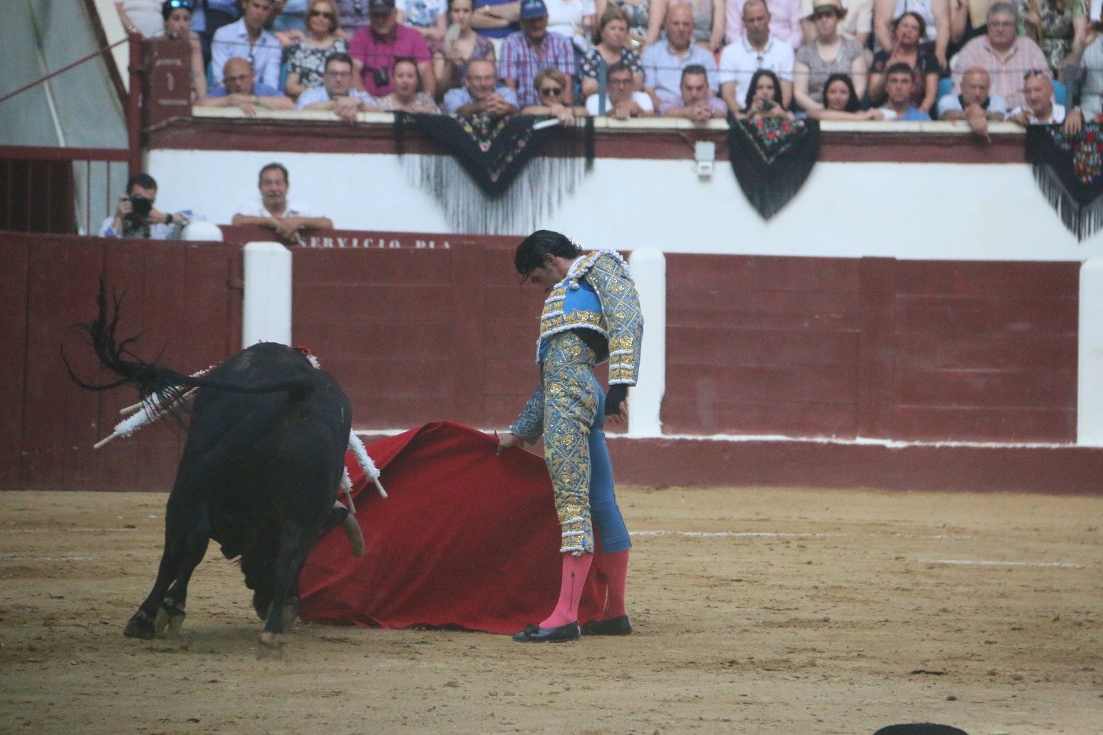 Fotos: Corrida del día  de San Juan, Morante, Manzanares, Talavante y Roca Rey