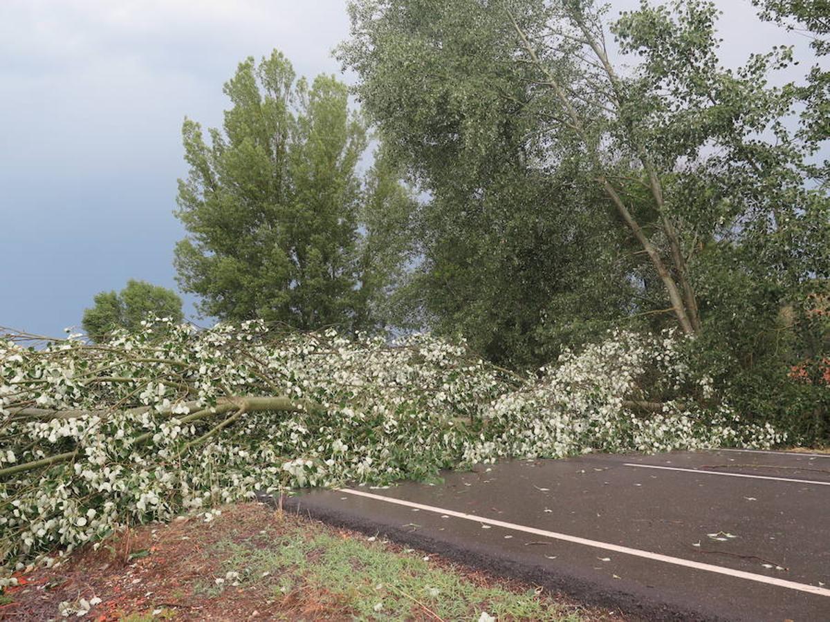 Fotos: Efectos de la lluvia en Villaobispo