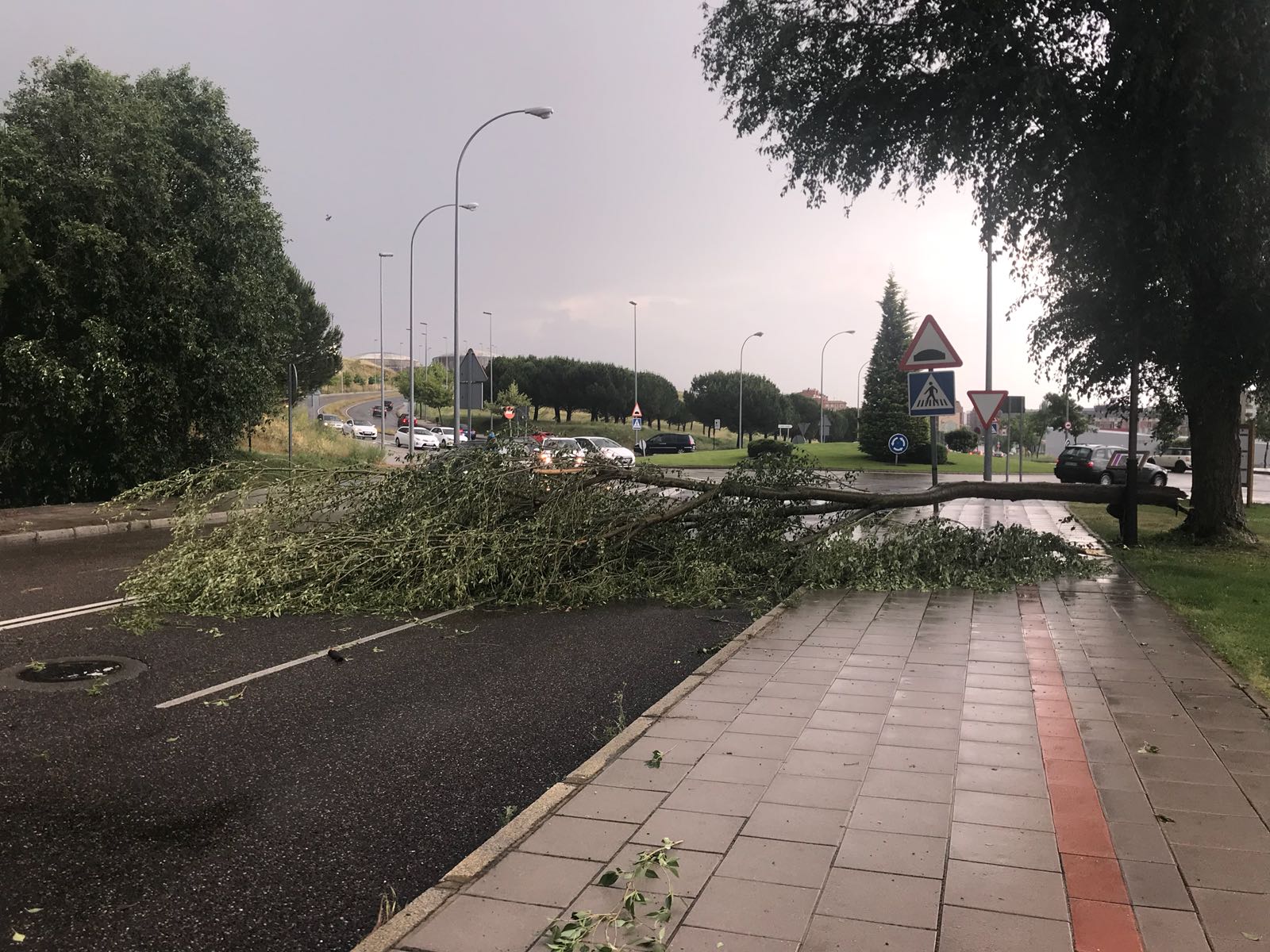 Fotos: Una gran tormenta sorprende a León y a su alfoz